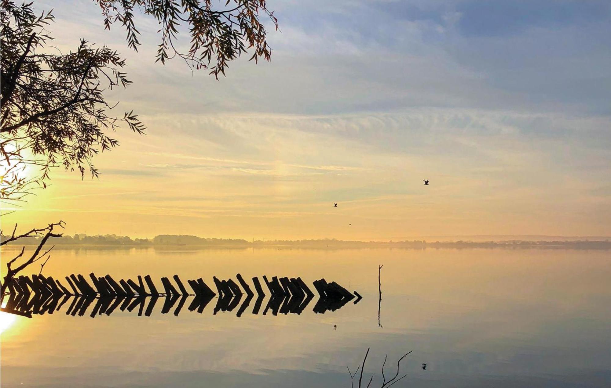 Beach Front Home In Lembruch-Duemmer See With Wifi Bagian luar foto