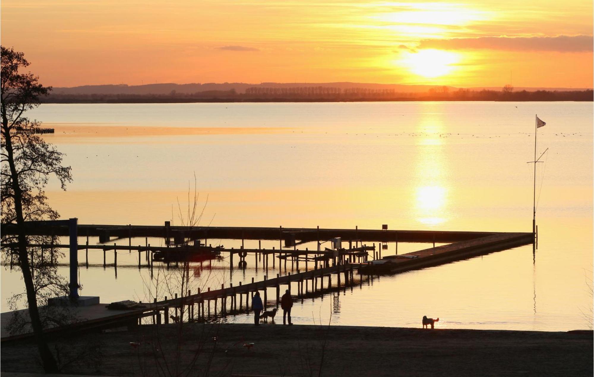 Beach Front Home In Lembruch-Duemmer See With Wifi Bagian luar foto